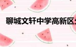 聊城文轩中学高新区分校（聊城文轩中学）