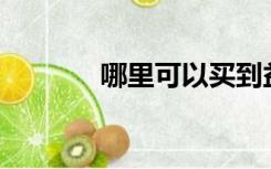 哪里可以买到益气唐智方子？