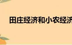 田庄经济和小农经济的区别（田庄经济）