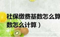 社保缴费基数怎么算2020山东（社保缴费基数怎么计算）