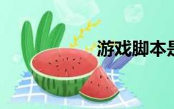 游戏脚本是什么意思
