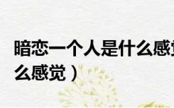 暗恋一个人是什么感觉知乎（暗恋一个人是什么感觉）