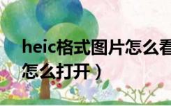 heic格式图片怎么看缩略图（heic格式图片怎么打开）