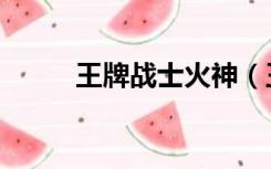 王牌战士火神（王牌战士模拟器）