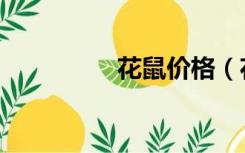 花鼠价格（花鼠是什么）
