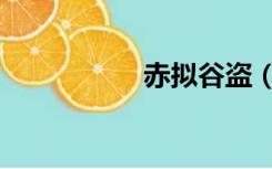 赤拟谷盗（赤拟谷盗）