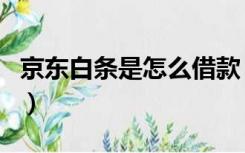 京东白条是怎么借款（京东白条是怎么还款的）