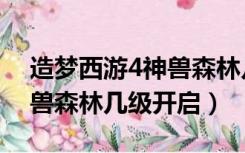 造梦西游4神兽森林几级解锁（造梦西游4神兽森林几级开启）