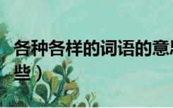 各种各样的词语的意思（各种各样的词语有哪些）