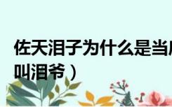 佐天泪子为什么是当麻小号（佐天泪子为什么叫泪爷）