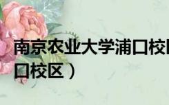 南京农业大学浦口校区宿舍（南京农业大学浦口校区）