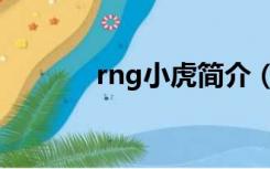 rng小虎简介（rng小虎资料）