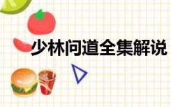 少林问道全集解说（少林问道演员表）