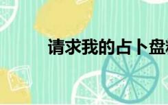 请求我的占卜盘精txt带肉谢谢你