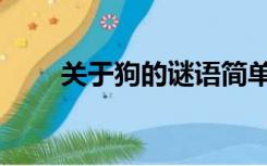 关于狗的谜语简单（关于狗的谜语）