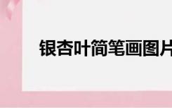银杏叶简笔画图片（银杏叶简笔画）
