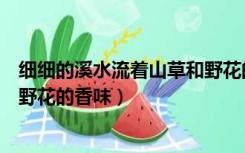 细细的溪水流着山草和野花的香味（细细的溪水流着山草和野花的香味）