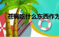 苍蝇吃什么东西作为食物（苍蝇吃什么）