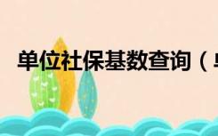 单位社保基数查询（单位社保基数怎么算）