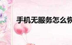 手机无服务怎么恢复（手机无服务）