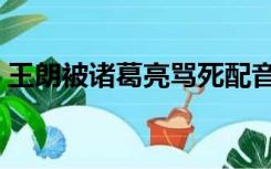 王朗被诸葛亮骂死配音（王朗被诸葛亮骂死）