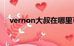 vernon大叔在哪里可以关注（vernon）