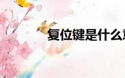 复位键是什么意思（复位键）
