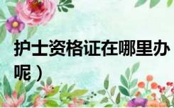 护士资格证在哪里办（护士资格证在哪里注册呢）
