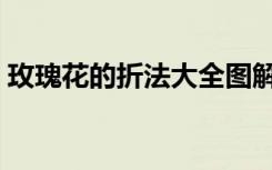 玫瑰花的折法大全图解（玫瑰花的折法大全）