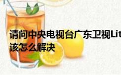 请问中央电视台广东卫视Litchi.com _ 360的视频播放不了该怎么解决
