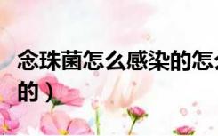 念珠菌怎么感染的怎么治疗（念珠菌怎么感染的）