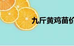 九斤黄鸡苗价格（九斤黄）