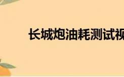 长城炮油耗测试视频（长城炮油耗）