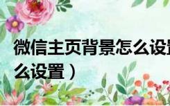 微信主页背景怎么设置图片（微信主页背景怎么设置）