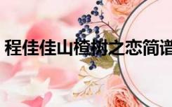 程佳佳山楂树之恋简谱（程佳佳山楂树之恋）