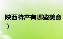 陕西特产有哪些美食（陕西特产有哪些能带走）