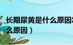 长期尿黄是什么原因怎么解决（长期尿黄是什么原因）
