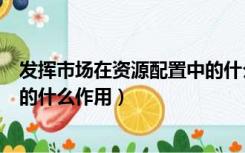 发挥市场在资源配置中的什么作用（发挥市场在资源配置中的什么作用）