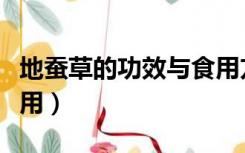 地蚕草的功效与食用方法（地蚕草的功效与作用）