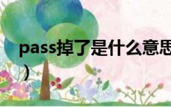 pass掉了是什么意思（pass掉了是什么意思）