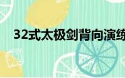 32式太极剑背向演练带口令（32寸壁纸）