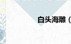 白头海雕（白头海雕）