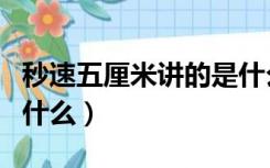 秒速五厘米讲的是什么内容（秒速五厘米讲了什么）