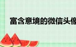 富含意境的微信头像（富含意境的诗句）