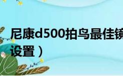 尼康d500拍鸟最佳镜头（尼康d500拍鸟最佳设置）