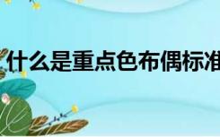 什么是重点色布偶标准（什么是重点色布偶）