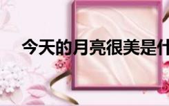 今天的月亮很美是什么梗（今天的月亮）