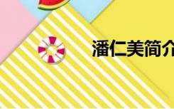 潘仁美简介（潘仁美）