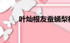 叶灿根友蚕蛹梨树可以商业化吗？