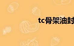 tc骨架油封规格尺寸表